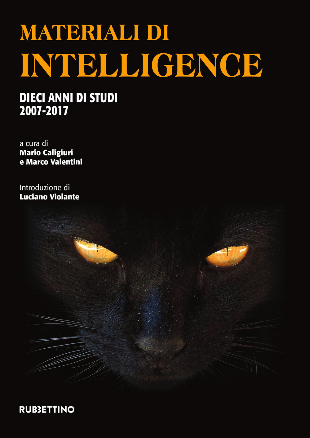 Materiali di intelligence. Dieci anni di studi 2007-2017