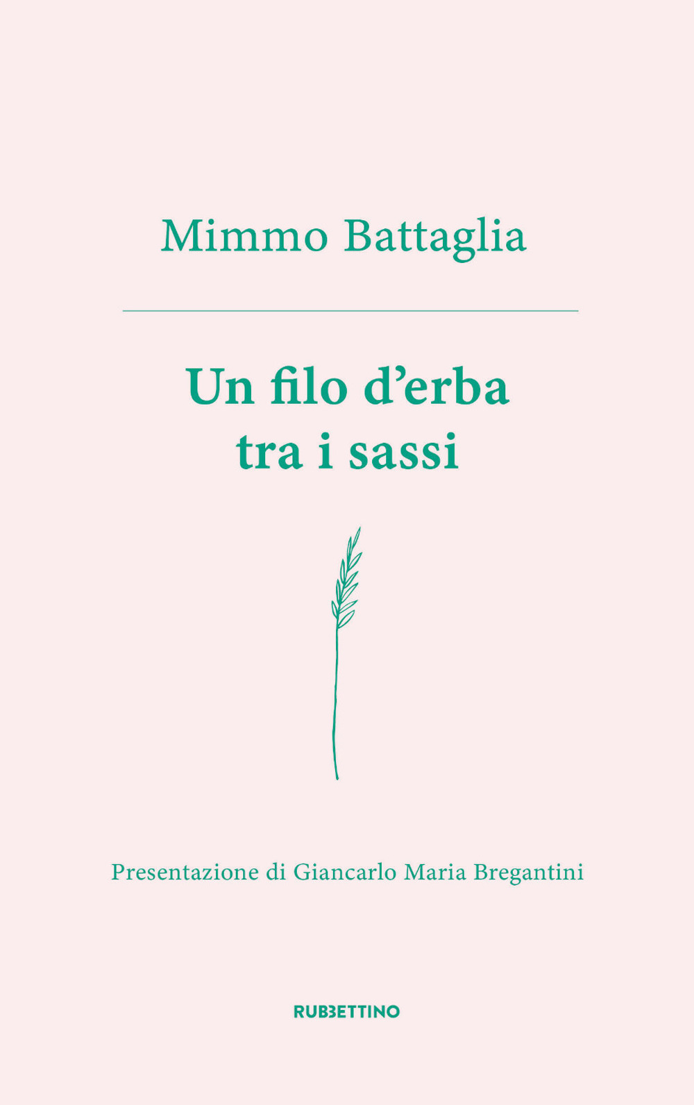 Un filo d'erba tra i sassi