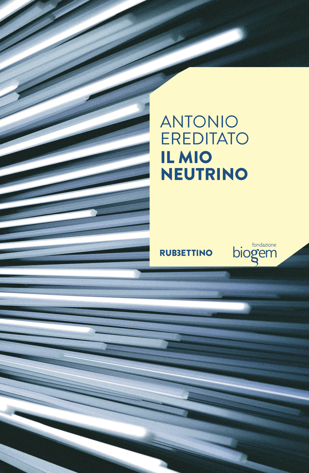 Il mio neutrino