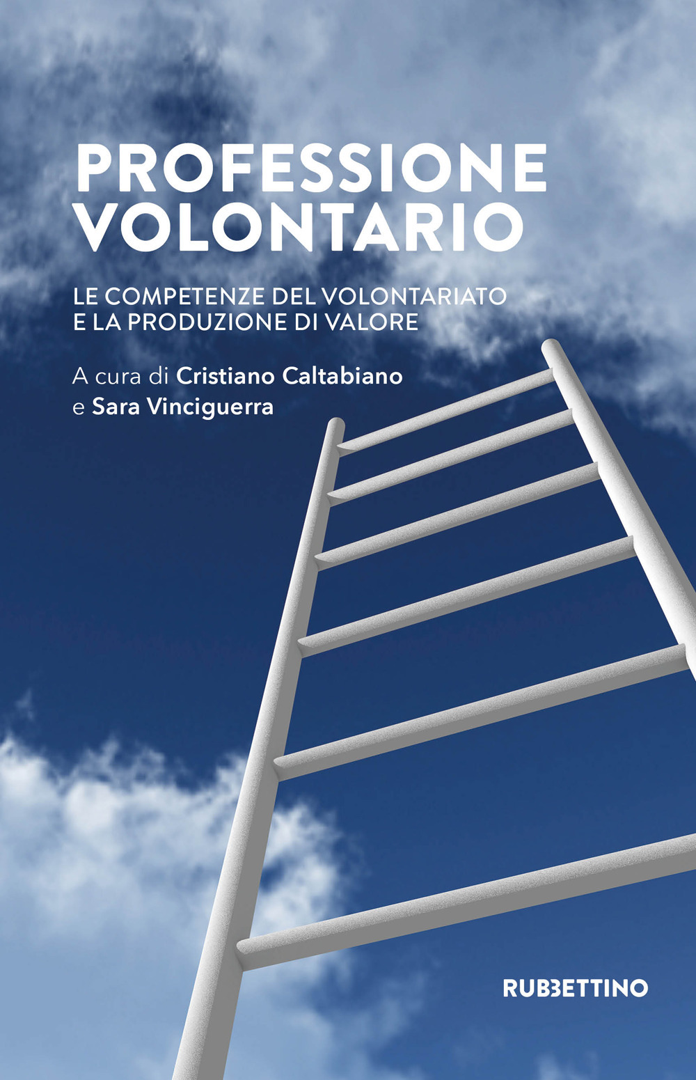 Professione volontario. Le competenze del volontariato e la produzione di valore