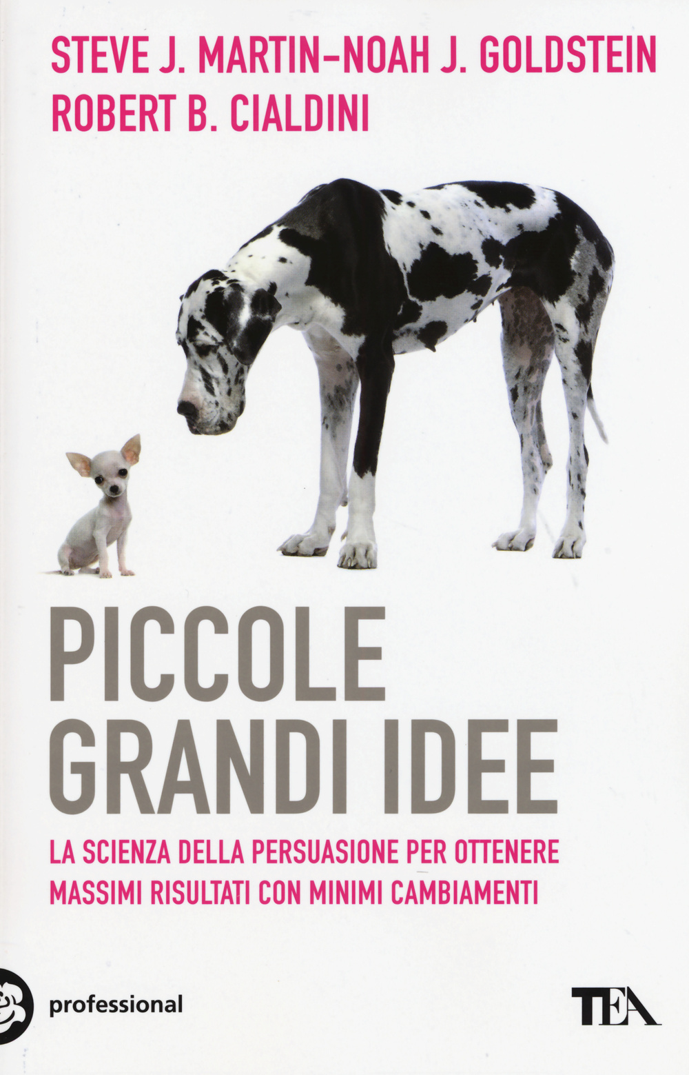 Piccole grandi idee. La scienza della persuasione per ottenere massimi risultati con minimi cambiamenti