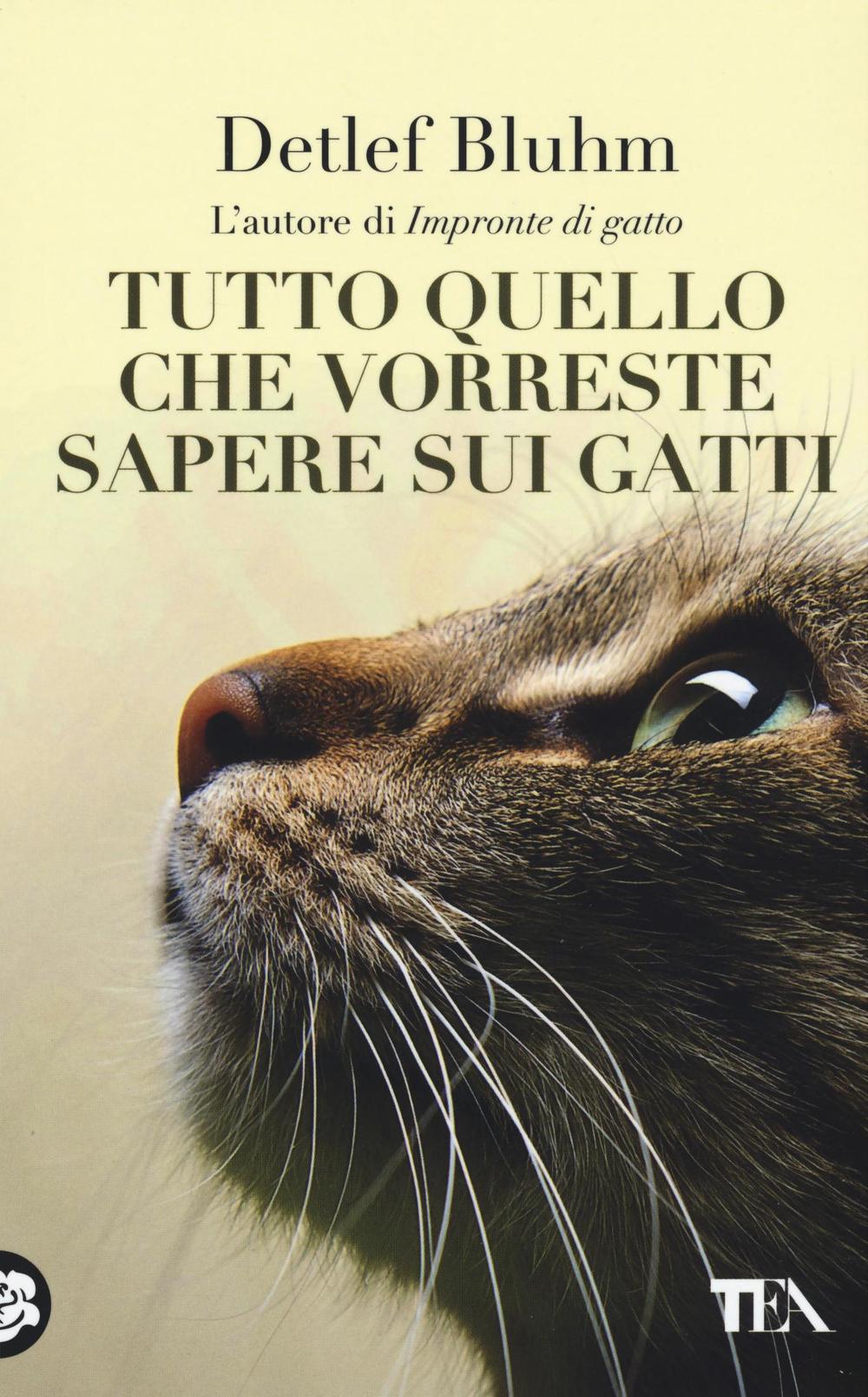 Tutto quello che vorreste sapere sui gatti