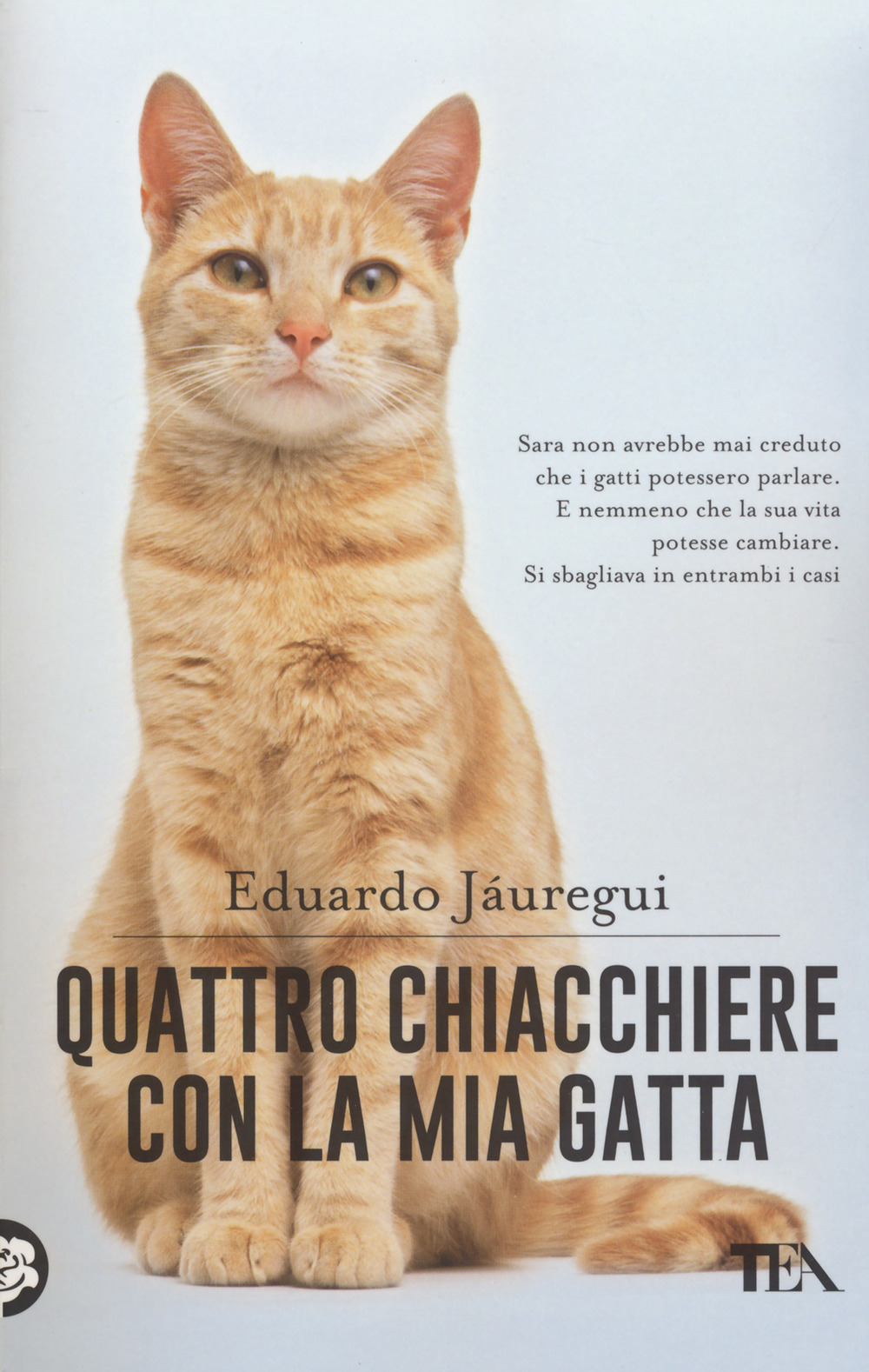 Quattro chiacchiere con la mia gatta