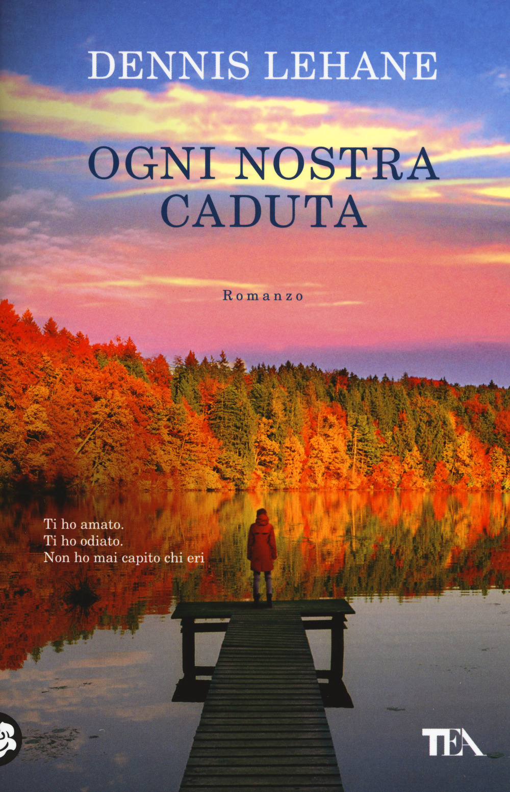 Ogni nostra caduta