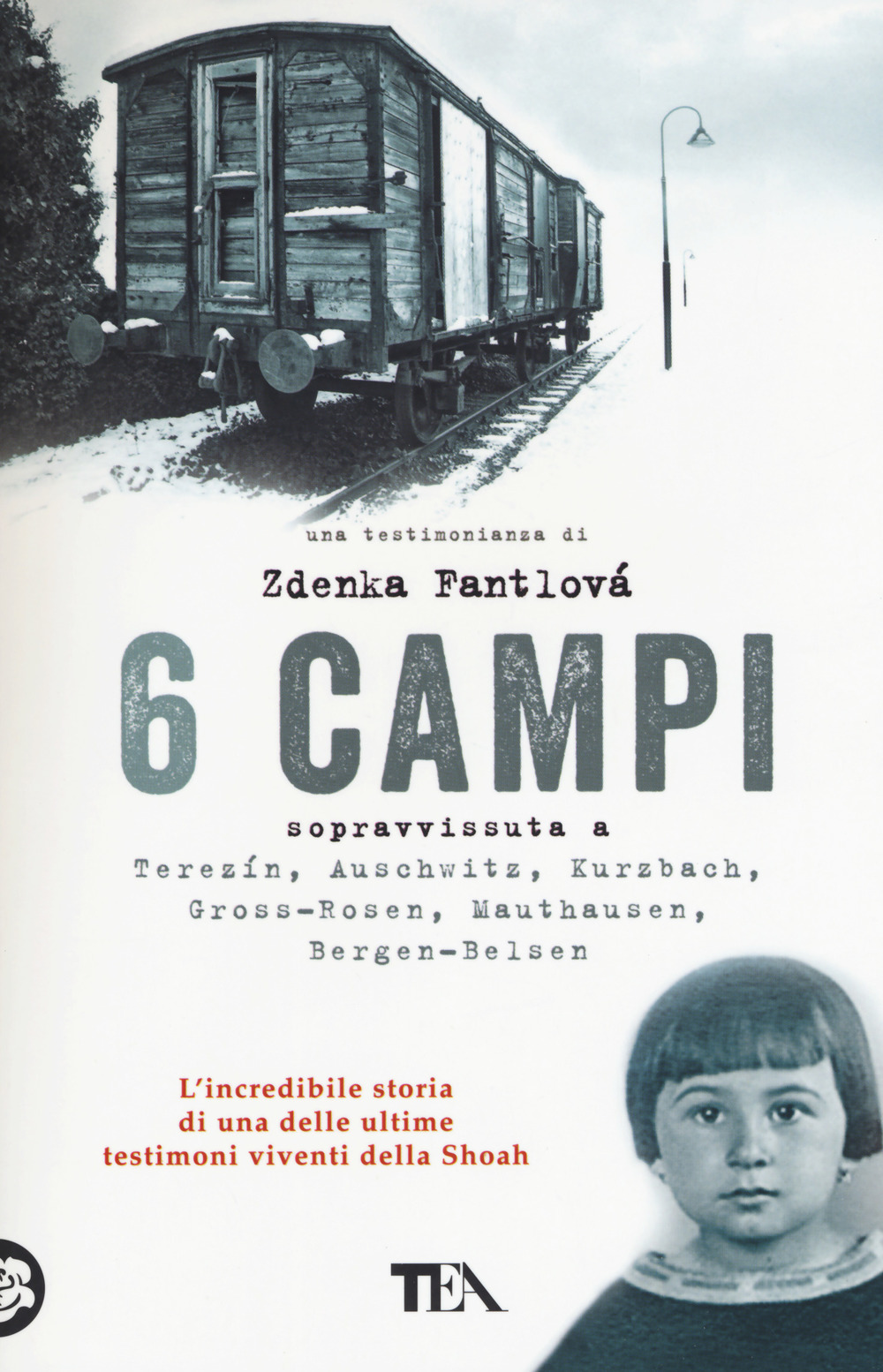 6 campi. Sopravvissuta a Terezín, Auschwitz, Kurzbach, Gross-Rosen, Mauthausen e Bergen-Belsen