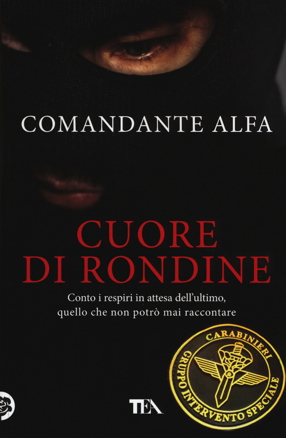 Cuore di rondine