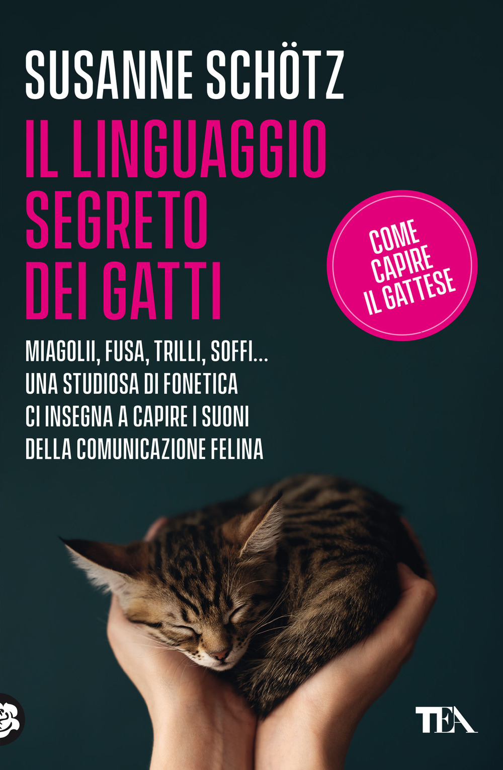 Il linguaggio segreto dei gatti