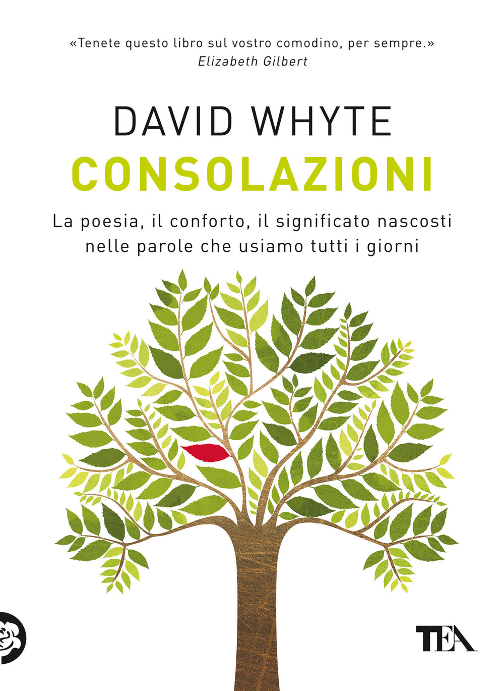 Consolazioni. La poesia, il conforto, il significato nascosti nelle parole che usiamo tutti i giorni