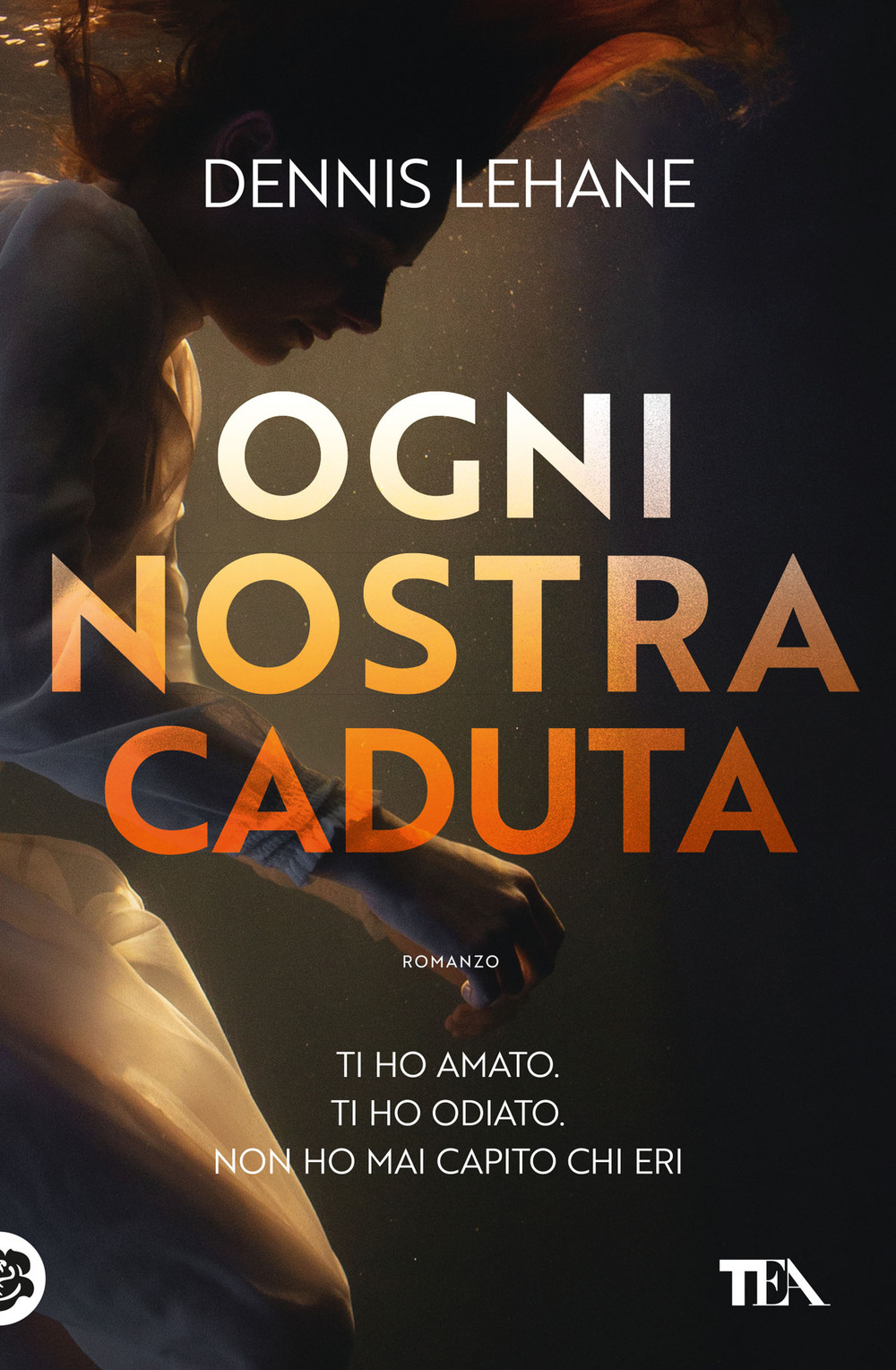 Ogni nostra caduta