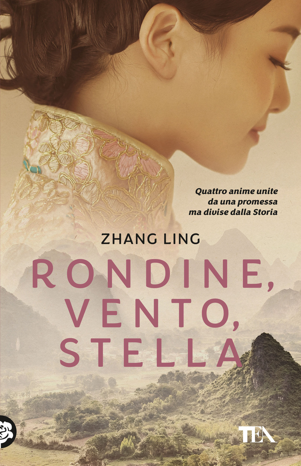 Rondine, vento, stella