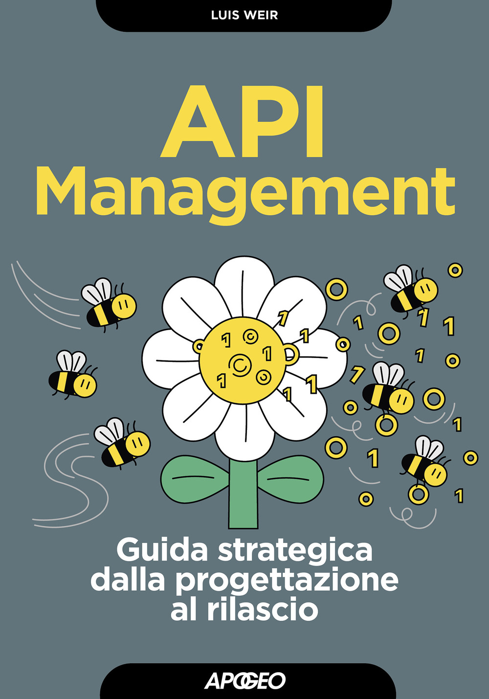 API management. Guida strategica dalla progettazione al rilascio