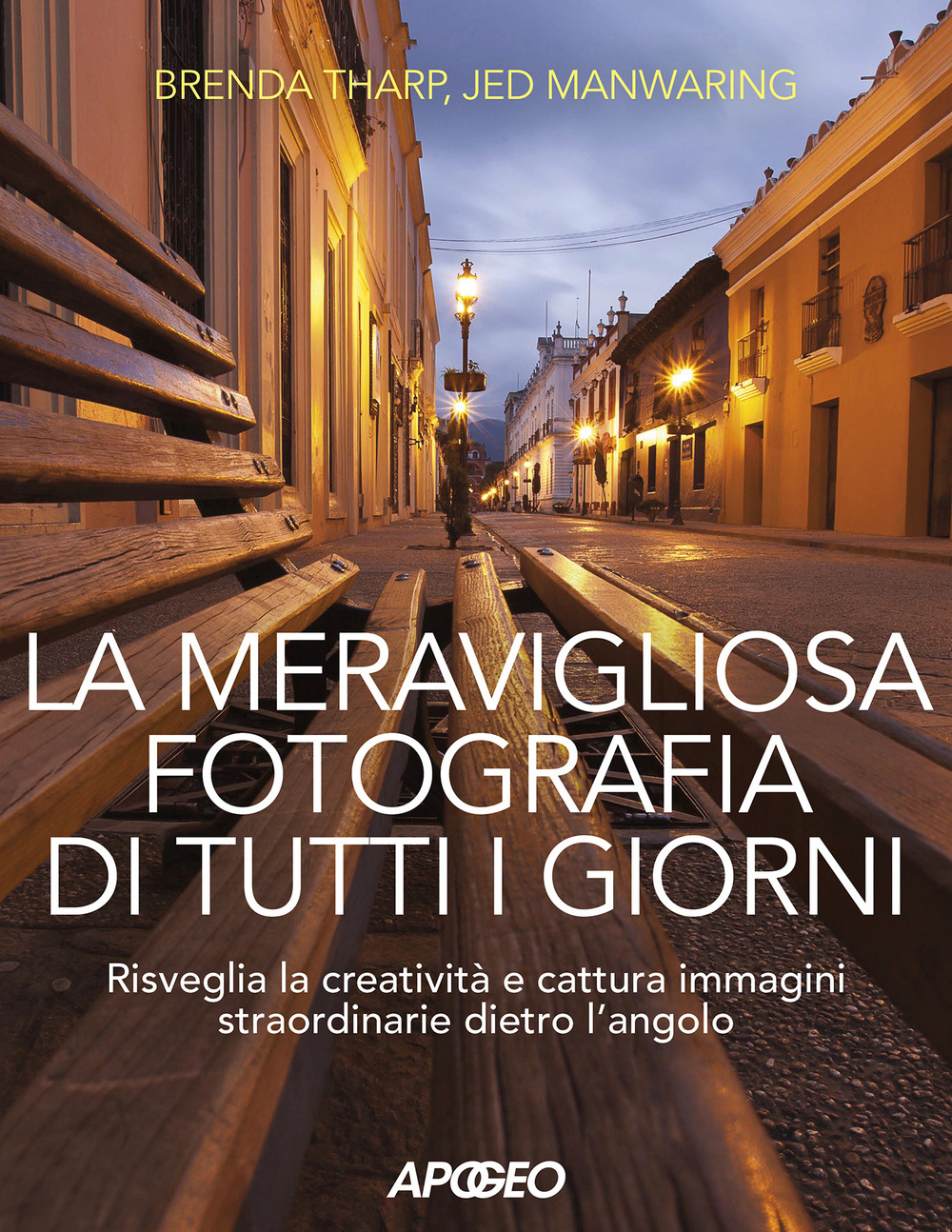 La meravigliosa fotografia di tutti i giorni. Risveglia la creatività, cattura immagini straordinarie dietro l'angolo