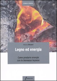 Legno ed energia. Come produrre energie con le biomasse legnose