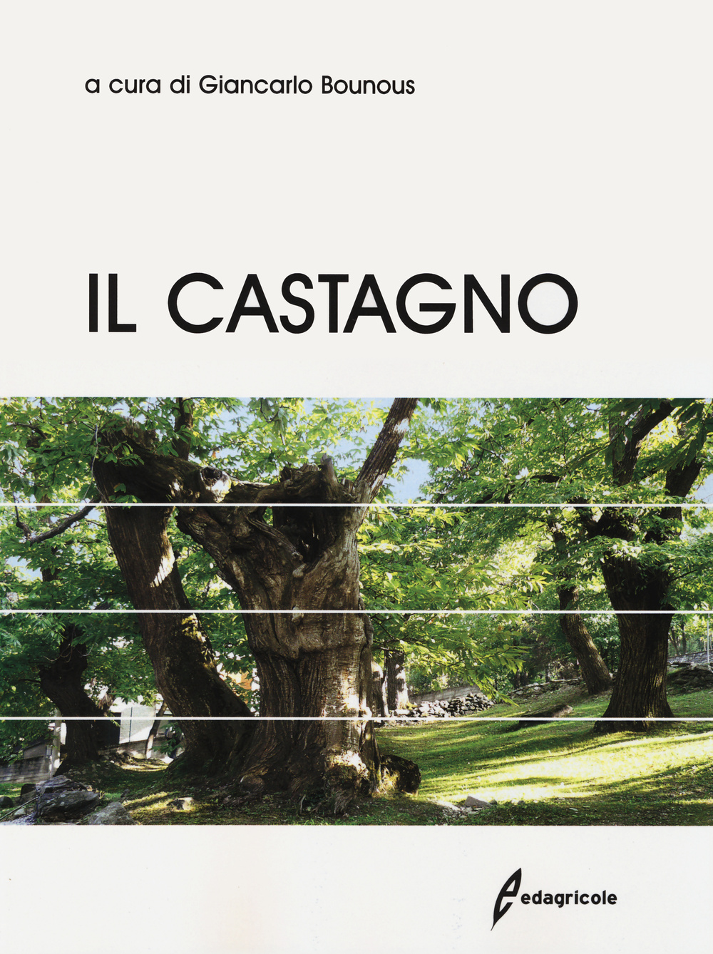 Il castagno