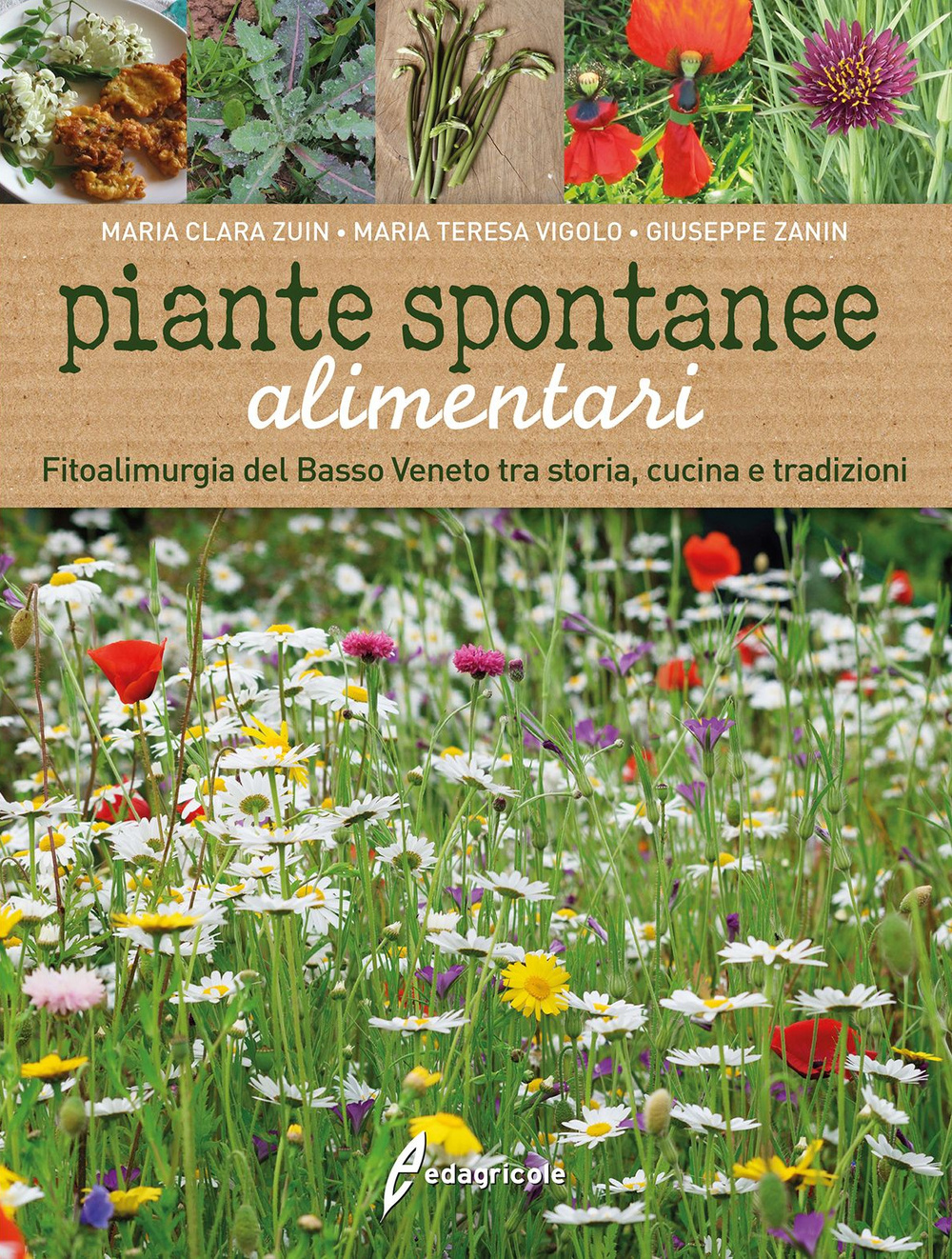 Piante spontanee alimentari. Fitoalimurgia del basso Veneto tra storia, cucina e tradizioni