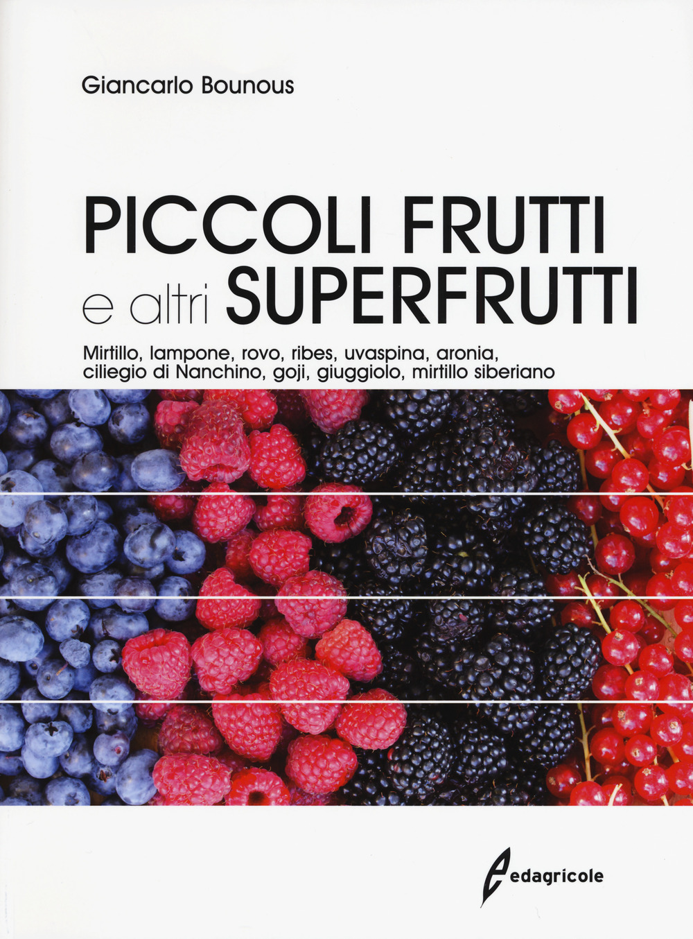 Piccoli frutti e altri superfrutti. Mirtillo, lampone, rovo, ribes, uvaspina, aronia, ciliegio di Nanchino, goji, giuggiolo, mirtillo siberiano