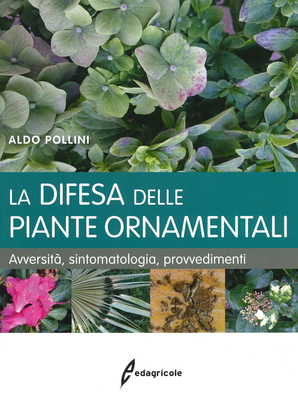 La difesa delle piante ornamentali. Avversità, sintomatologia, provvedimenti