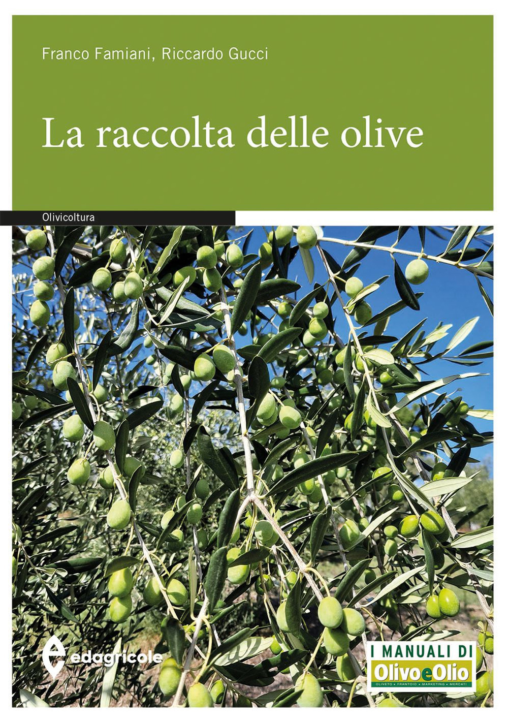 La raccolta delle olive