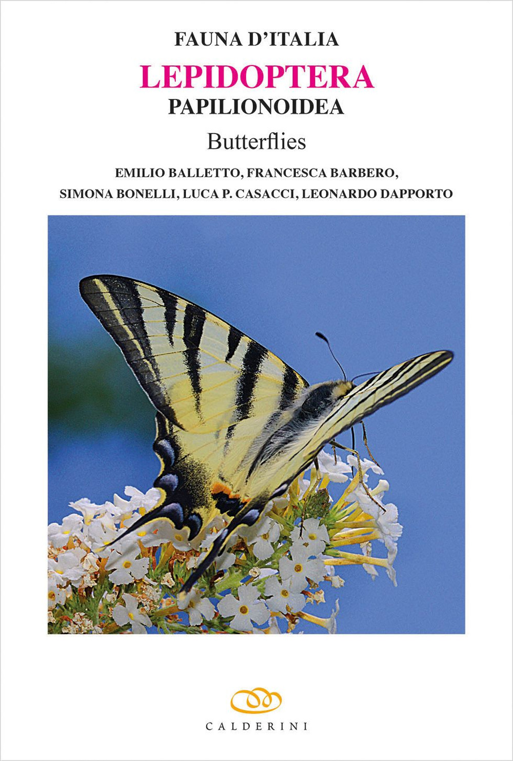 Lepidoptera Papilionoidea butterflies. Ediz. a colori