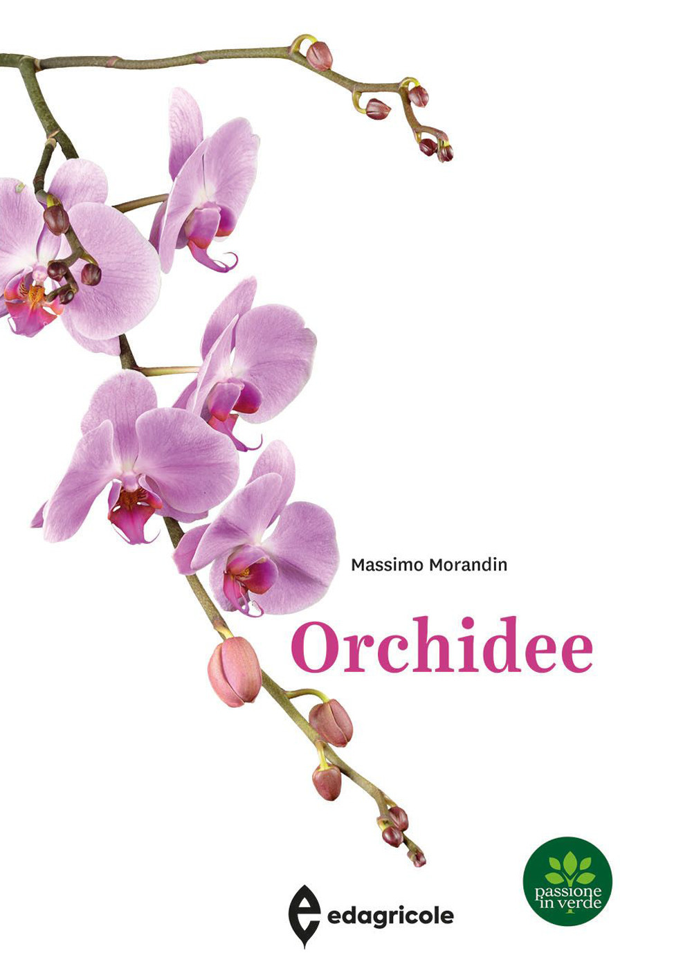 Orchidee