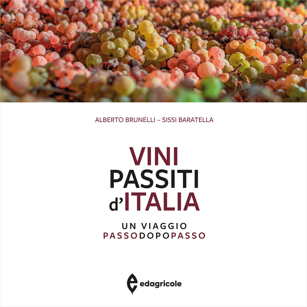 Vini passiti d'Italia. Un viaggio passo dopo passo. Ediz. illustrata