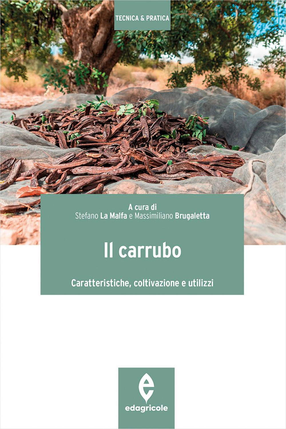 Il carrubo. Caratteristiche, coltivazioni e utilizzi