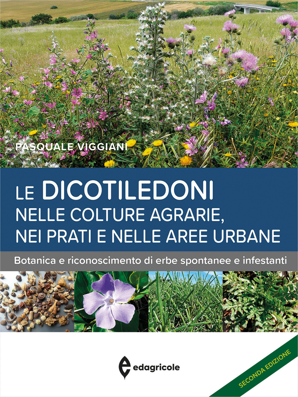 Le dicotiledoni nelle colture agrarie. Botanica e riconoscimento