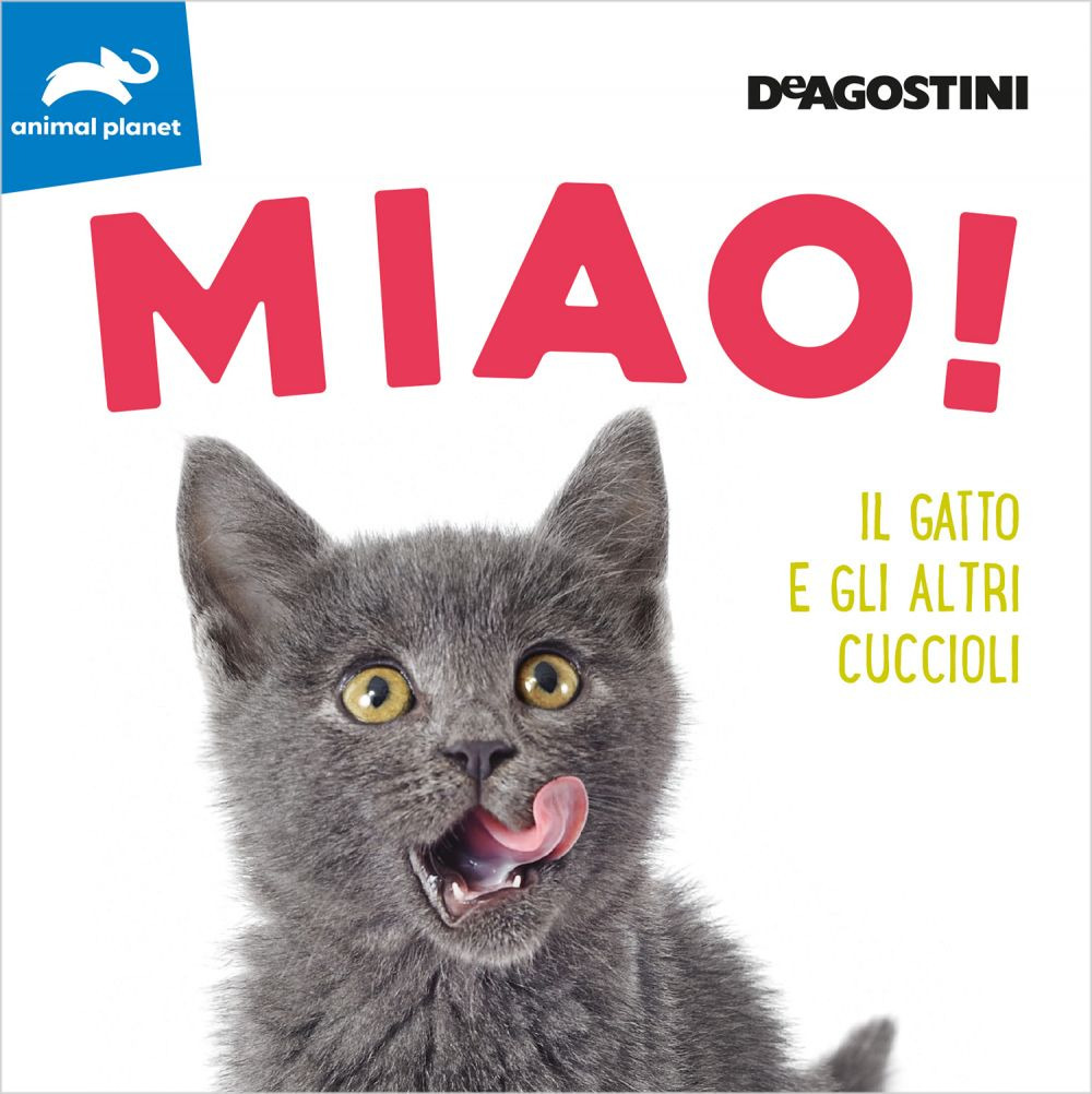 Miao! Il gatto e gli altri cuccioli. Ediz. a colori