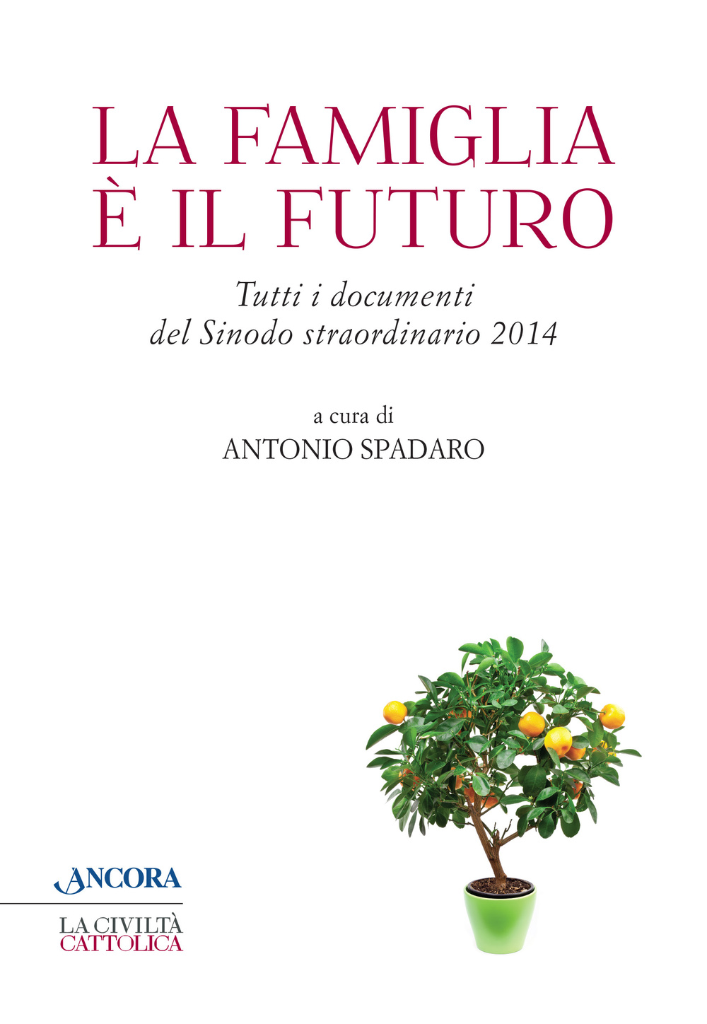 La famiglia è il futuro. Tutti i documenti del sinodo straordinario 2014