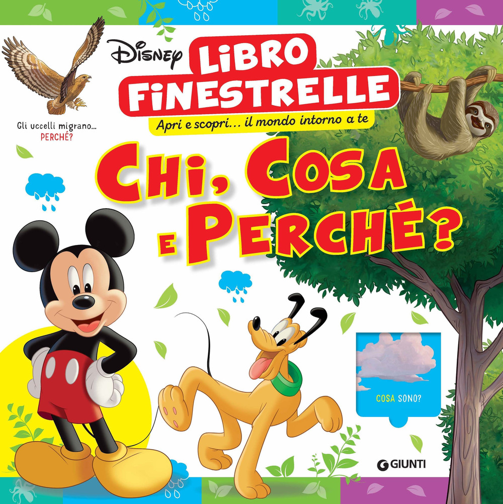 Chi, cosa e perché? Disney. Libro finestrelle. Ediz. a colori