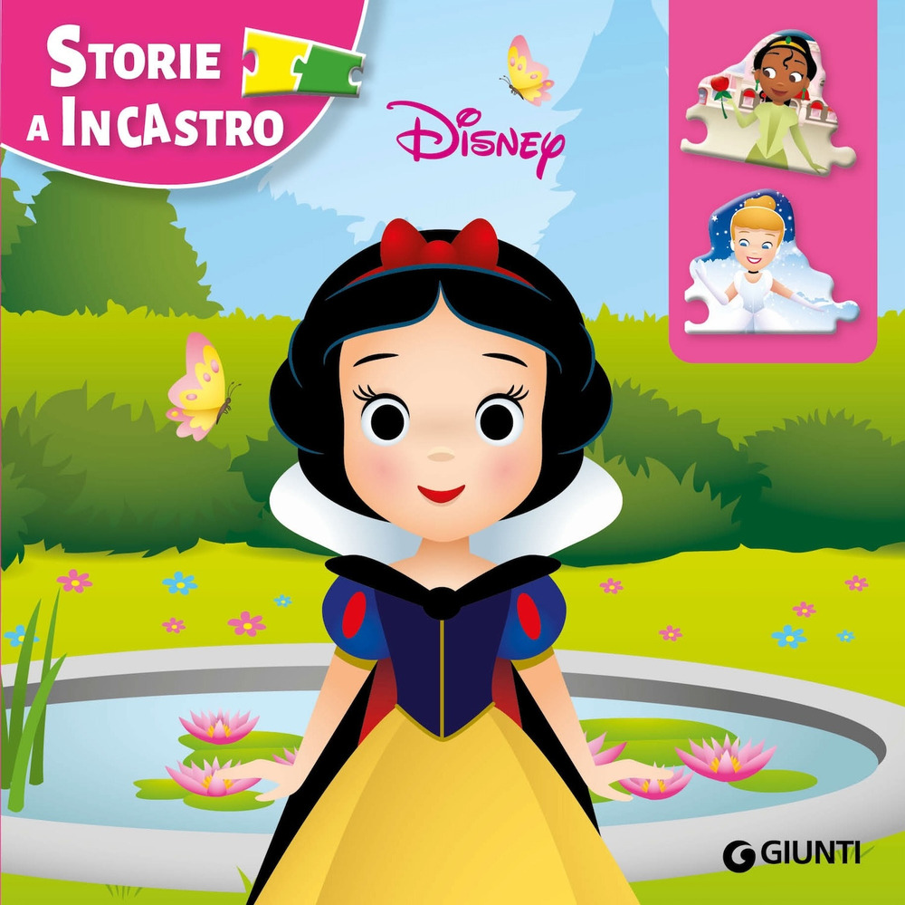 Principesse. Storie a incastro. Ediz. illustrata