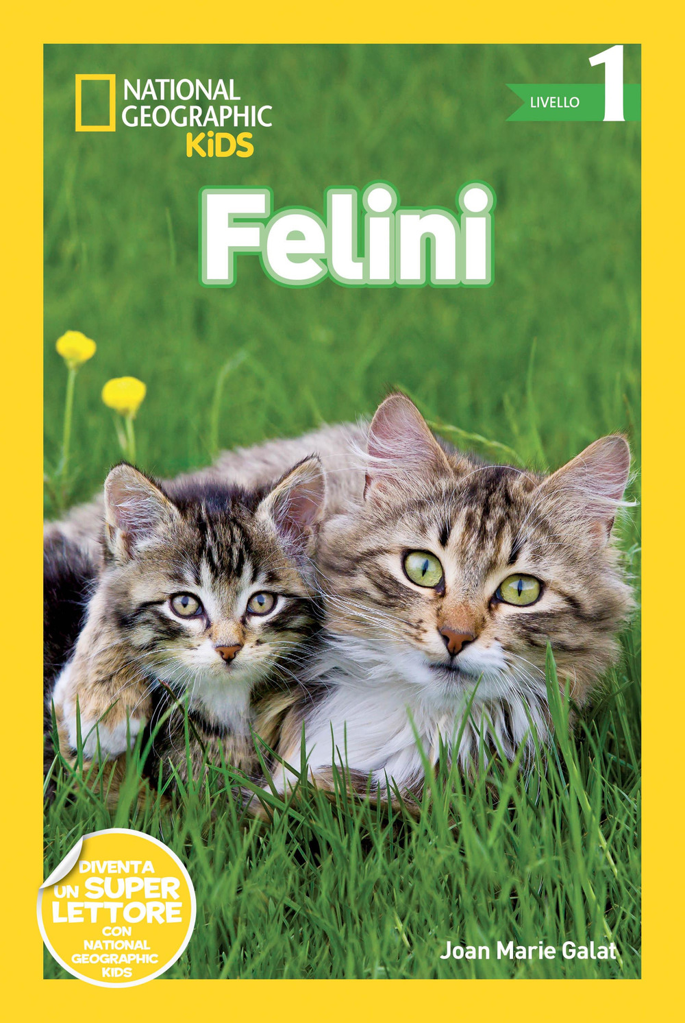 Felini. Livello 1. Ediz. a colori