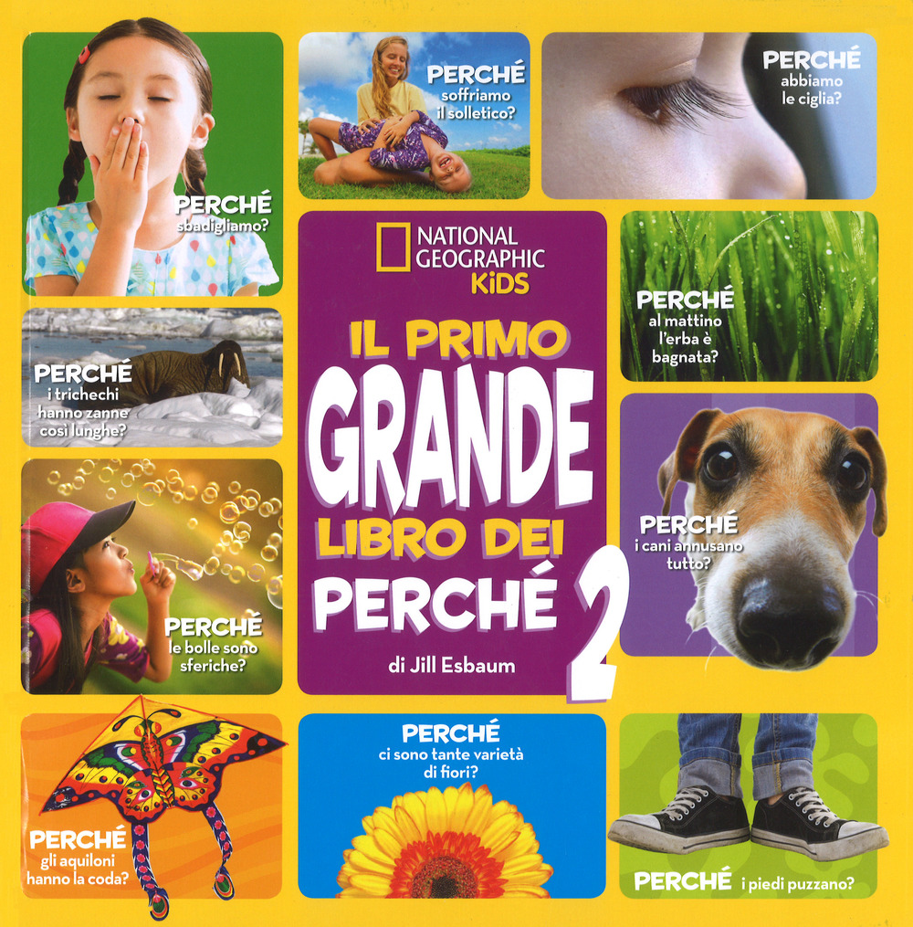 Il primo grande libro dei perché. Ediz. a colori. Vol. 2