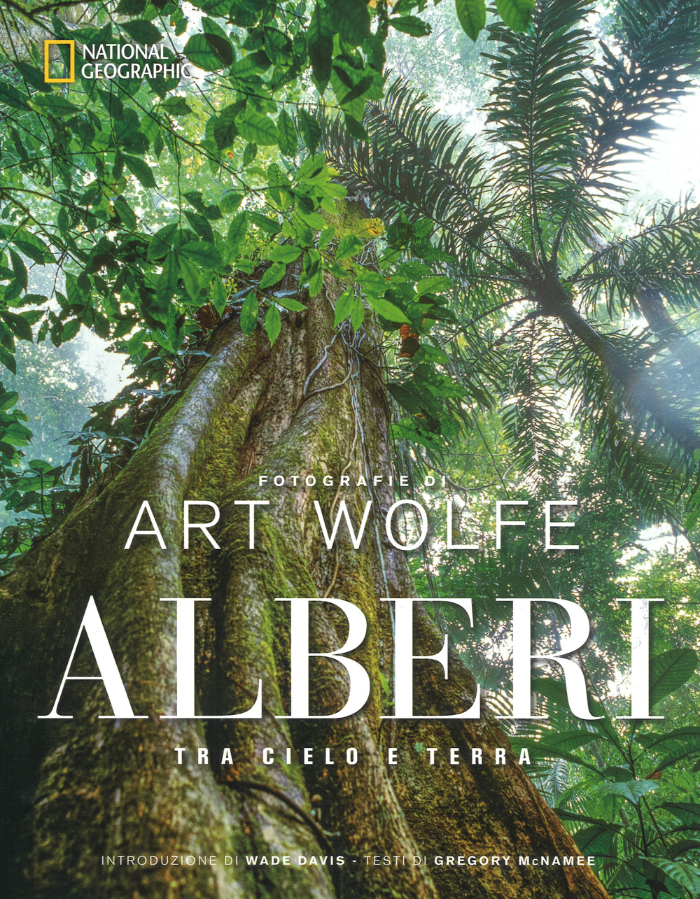 Alberi tra cielo e terra. Ediz. a colori