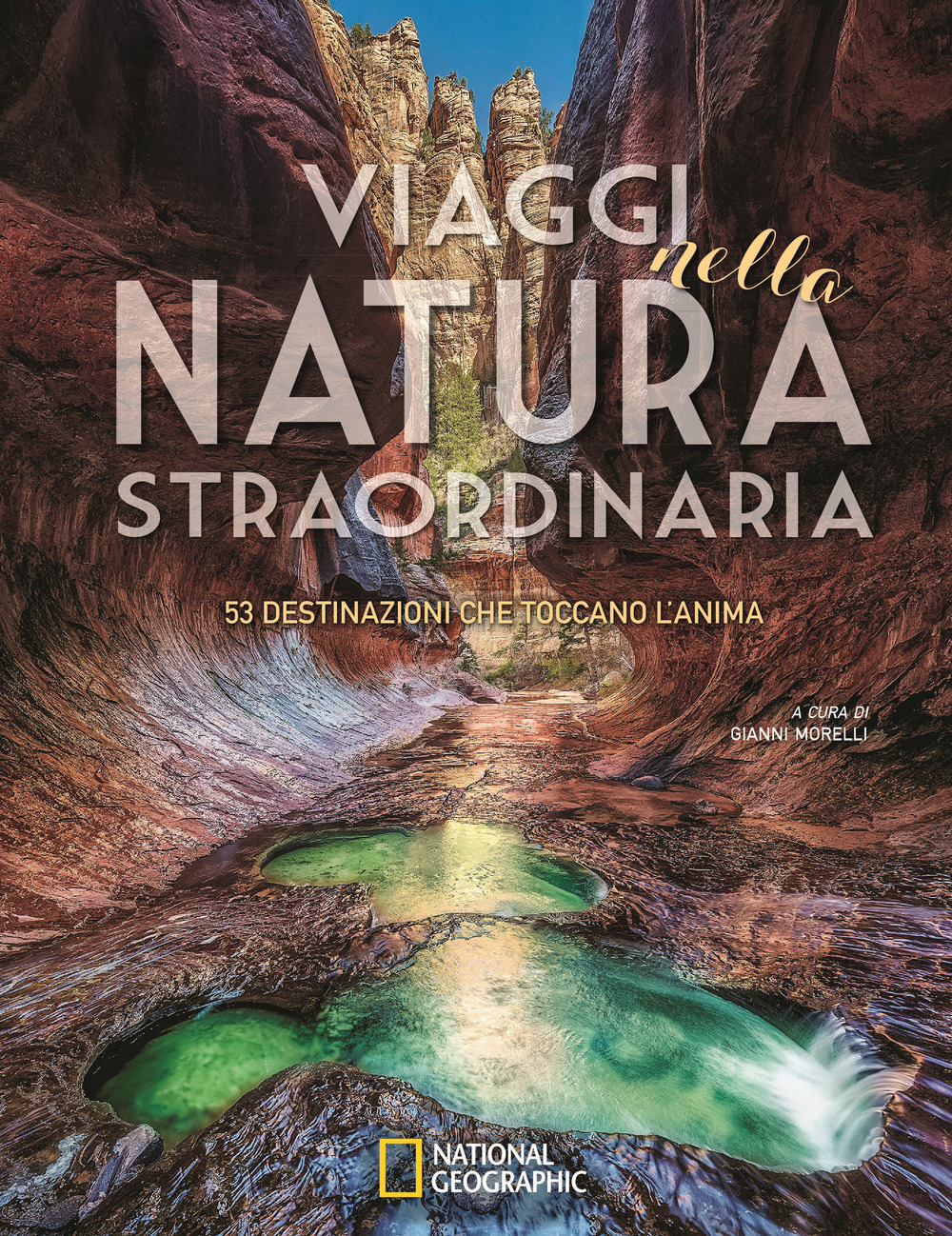 Viaggi nella natura straordinaria. 53 destinazioni che toccano l'anima. Ediz. a colori