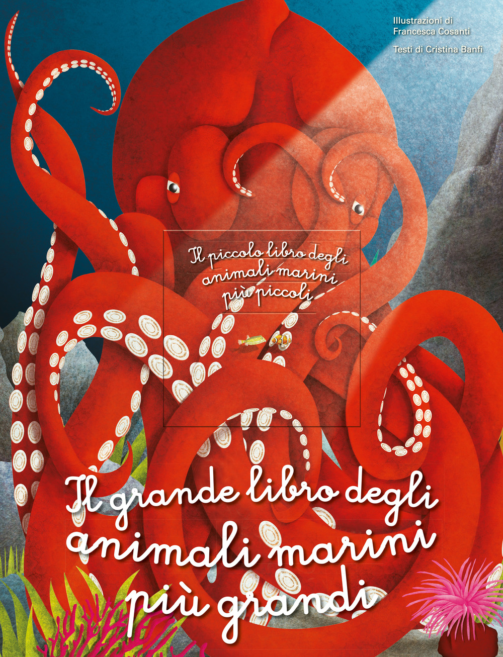 Il grande libro degli animali marini più grandi. Il piccolo libro degli animali marini più piccoli. Ediz. a colori