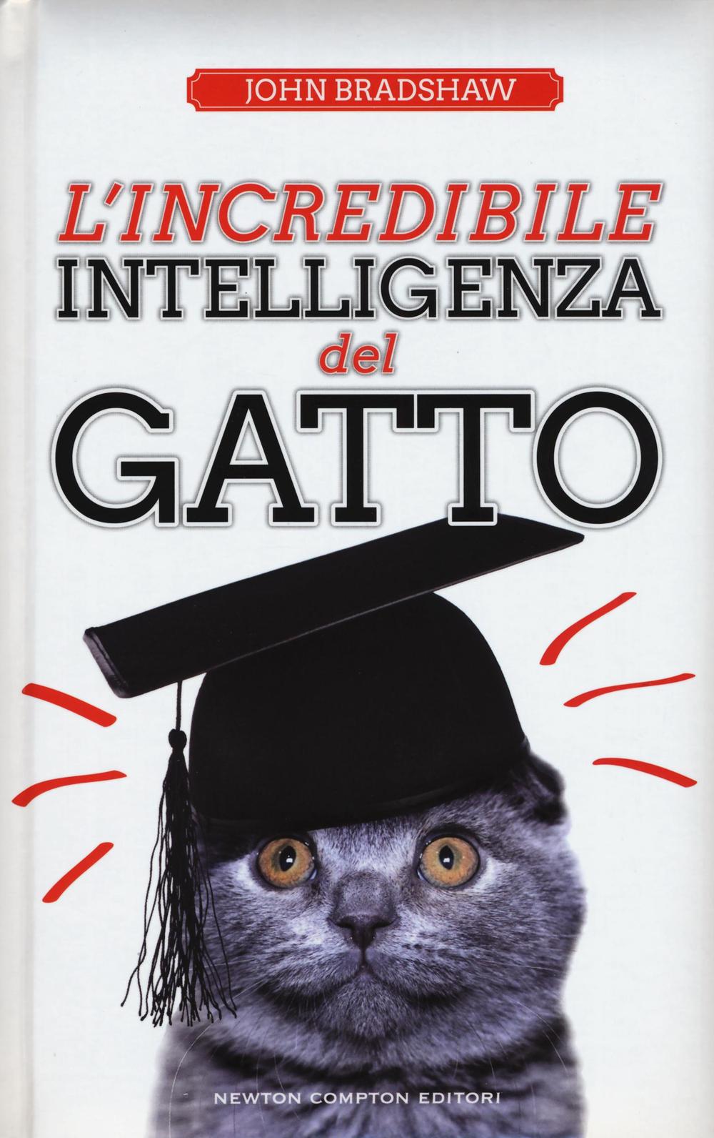 L'incredibile intelligenza del gatto