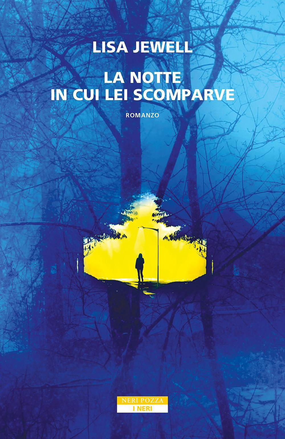 La notte in cui lei scomparve