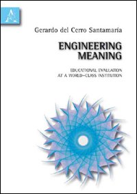 Engineering meaning. Educational evaluation at a world-class institution