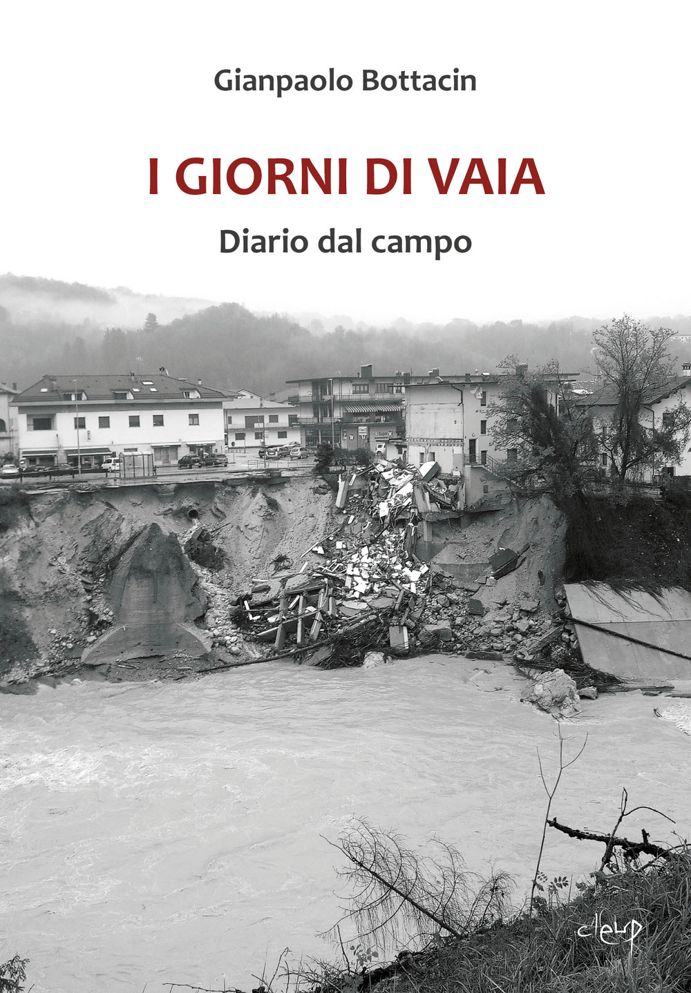 I giorni di Vaia. Diario dal campo