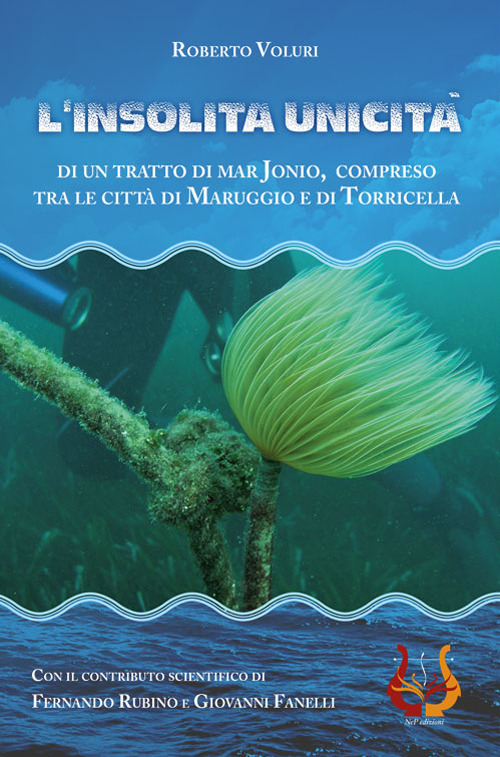 L'insolita unicità di un tratto di Mar Jonio, compreso tra le città di Maruggio e di Torricella. Con Cassetta audio