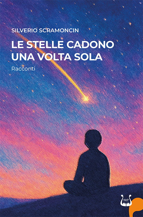Le stelle cadono una volta sola. Nuova ediz.