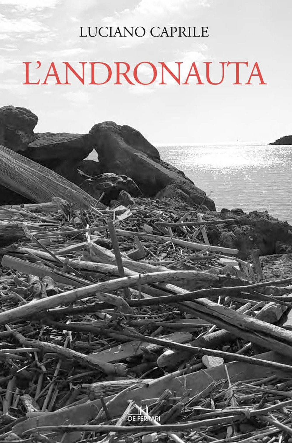 L'andronauta