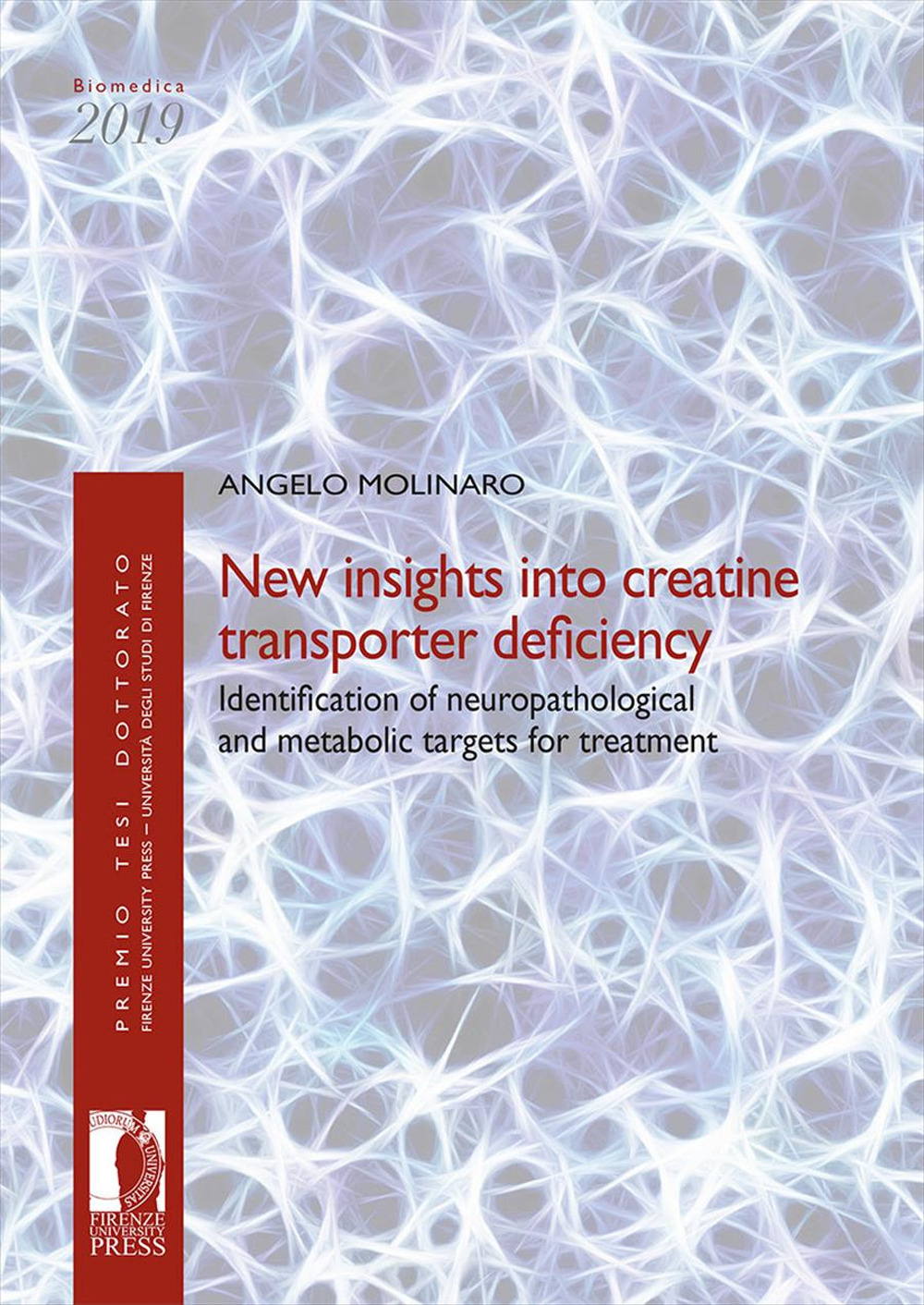 New insights into creatine transporter deficiency. Identification of neuropathological and metabolic targets for treatment