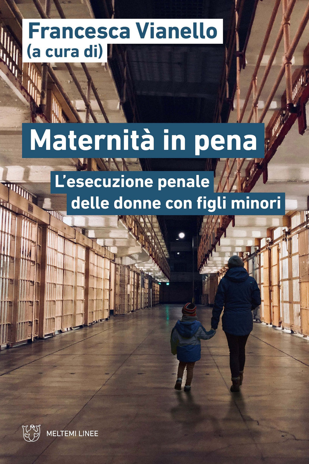 Maternità in pena. L'esecuzione penale delle donne con figli minori