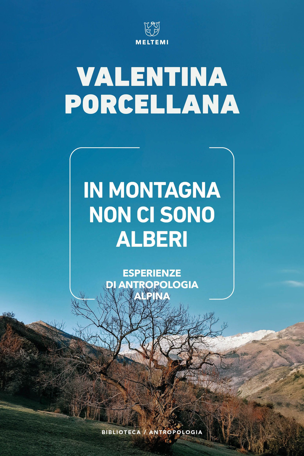 In montagna non ci sono alberi. Esperienze di antropologia alpina