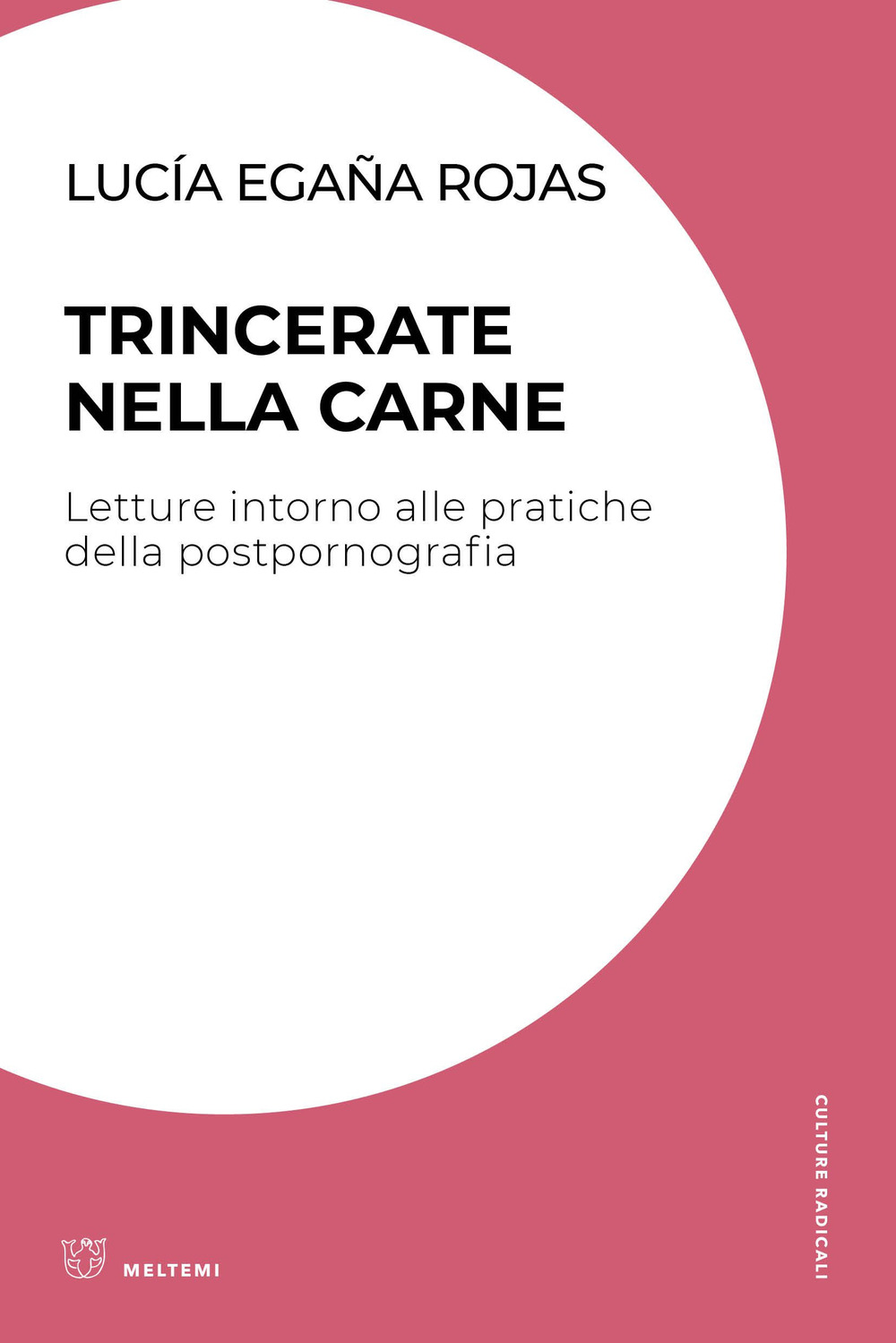 Trincerate nella carne. Letture intorno alle pratiche della postpornografia