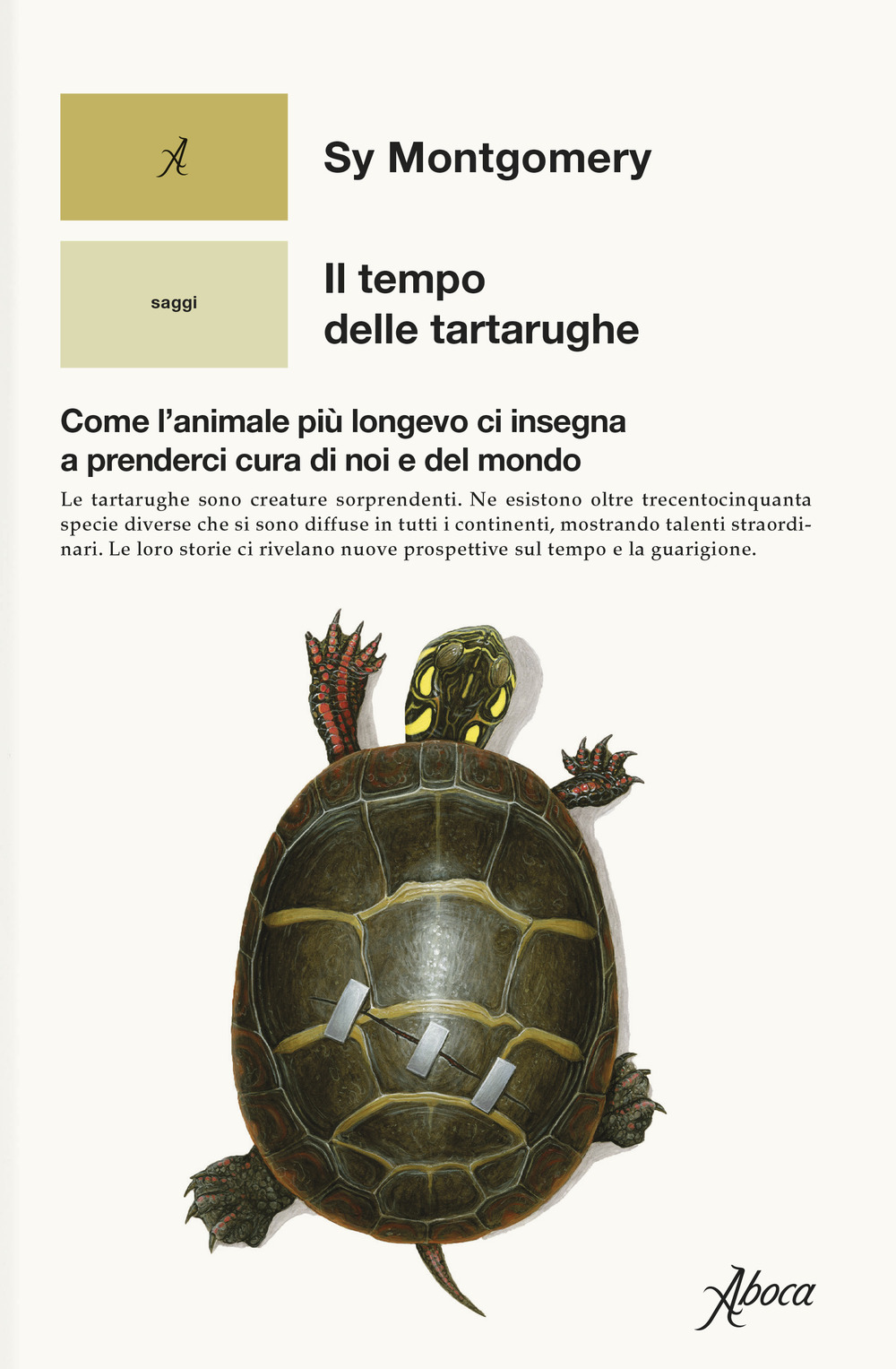 Il tempo delle tartarughe. Come l'animale più longevo ci insegna a prenderci cura di noi e del mondo