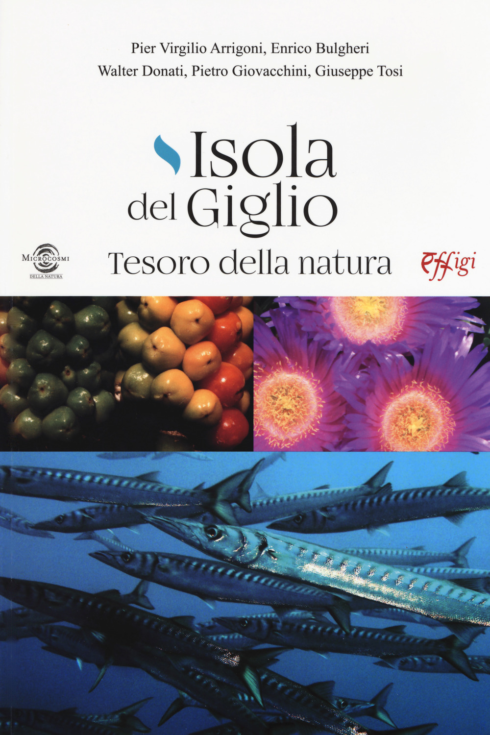 ISOLA DEL GIGLIO. TESORO DELLA NATURA - 9788855240154