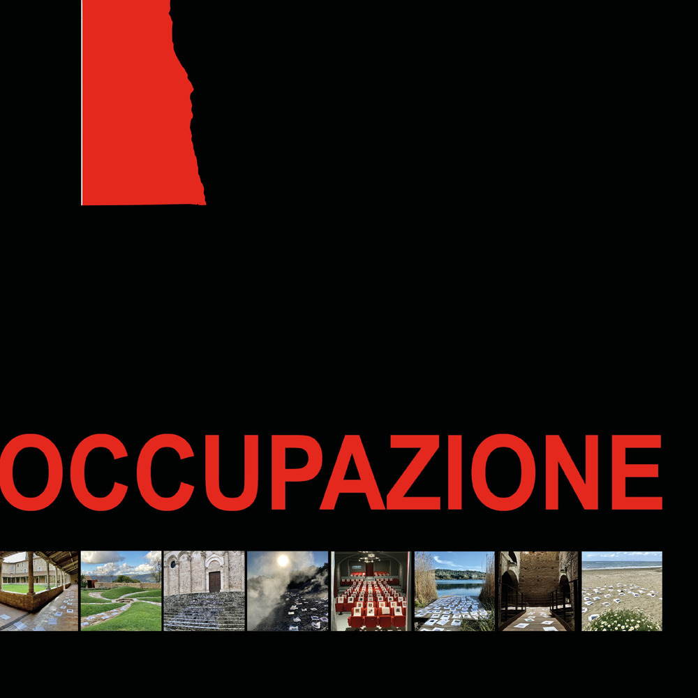 Occupazione. Ediz. illustrata